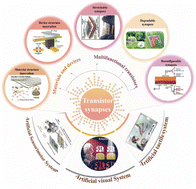 Graphical abstract: Bio-inspired artificial synaptic transistors: evolution from innovative basic units to system integration