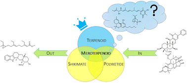 Graphical abstract: Meroterpenoids? A historical and critical review of this biogenetic determinant