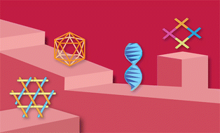 Graphical abstract: Introduction to emerging concepts in nucleic acids: structures, functions and applications