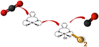 Graphical abstract: Mechanistic insights into the electrochemical reduction of CO2 to CO on Ni(salphen) complexes