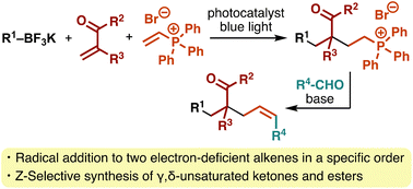 Graphical abstract: Sequence-selective three-component reactions of alkyltrifluoroborates with α,β-unsaturated carbonyl compounds and vinylphosphonium salts