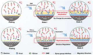 Graphical abstract: A host potassiophilicity strategy for unprecedentedly stable and safe K metal batteries