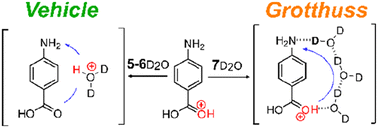 Graphical abstract: Transition from vehicle to Grotthuss proton transfer in a nanosized flask: cryogenic ion spectroscopy of protonated p-aminobenzoic acid solvated with D2O