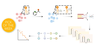 Graphical abstract: High-throughput single-cell mass spectrometry enables metabolic network analysis by resolving phospholipid C [[double bond, length as m-dash]] C isomers