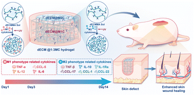 Graphical abstract: A spatiotemporal release hydrogel based on an M1-to-M2 immunoenvironment for wound management