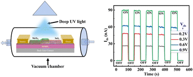 Graphical abstract: Gate-tunable rectification and photoresponse in a MoTe2/SnS2 van der Waals heterostructure based P–N diode