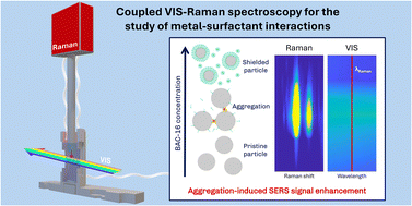 Graphical abstract: In situ study of the interactions between metal surfaces and cationic surfactant corrosion inhibitors by surface-enhanced Raman spectroscopy coupled with visible spectroscopy