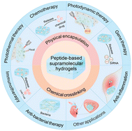 Graphical abstract: Peptide-based supramolecular hydrogels and their biotherapeutic applications