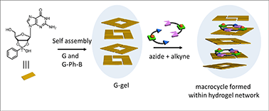 Graphical abstract: Guanosine-based hydrogel as a supramolecular scaffold for template-assisted macrocyclization