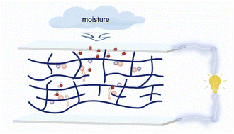 Graphical abstract: Selective ion migration in a polyelectrolyte driving a high-performance flexible moisture-electric generator