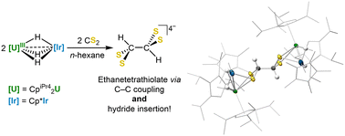 Graphical abstract: Reduction of CS2 to an ethanetetrathiolate by a hydride-bridged uranium–iridium heterobimetallic complex