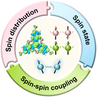 Graphical abstract: Spin characteristics in conjugated stable diradicals