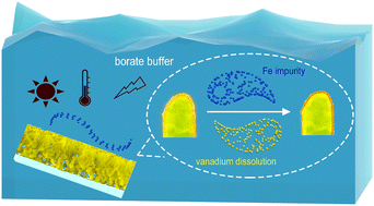 Graphical abstract: Boosting the photoelectrochemical performance of BiVO4 by borate buffer activation: the role of trace iron impurities