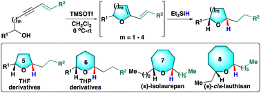 Graphical abstract: Unlocking a reductive hydroalkoxylation cascade for the stereoselective synthesis of cyclic ethers: total synthesis of (±)-isolaurepan and (±)-cis-lauthisan