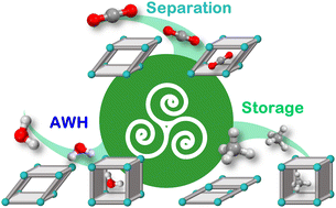 Graphical abstract: Functional flexible adsorbents and their potential utility