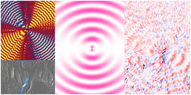 Graphical abstract: Twisted cholesterol crystals by Mueller matrix microscopy