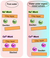 Graphical abstract: Swelling and delamination of inorganic homoionic montmorillonite clay in water–polar organic mixed solvents