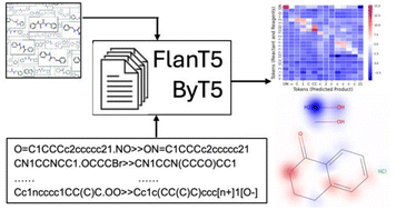 Graphical abstract: Specialising and analysing instruction-tuned and byte-level language models for organic reaction prediction