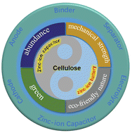 Graphical abstract: Rational modulation of cellulose for zinc ion-based energy storage devices