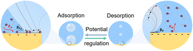 Graphical abstract: Electrostatically responsive liquid gating system for controlled microbubble generation