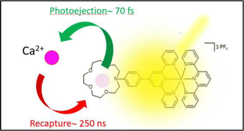 Graphical abstract: Photoejection–recapture of the Ca2+ cation studied by time resolved spectroscopy and TDDFT calculations: the case study of an azacrown–iridium(iii) complex