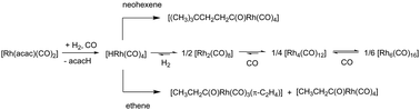 Graphical abstract: In situ FTIR spectroscopic investigations on rhodium carbonyl complexes in the absence of phosphorus ligands under hydroformylation conditions