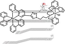 Graphical abstract: Modulation of intramolecular Fe oxidation with distance and driving force in Ru–Fe photocatalysts