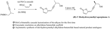 Graphical abstract: Synthetic studies towards naturally occurring aporpinones: asymmetric synthesis of 1′-deshydroxymethyl analogues of aporpinone A, aporpinone B and 4′-hydroxyaporpinone A