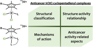 Graphical abstract: Anticancer iridium(iii) cyclopentadienyl complexes