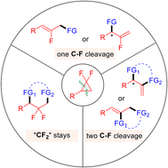 Graphical abstract: Recent developments in the ring-opening transformations of gem-difluorocyclopropanes