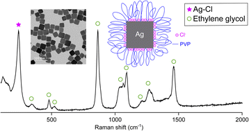 Graphical abstract: Seeing is believing: what is on the surface of silver nanocrystals suspended in their original reaction solution