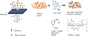 Graphical abstract: A high-performance nanofiltration membrane synthesized by embedding amino acids and ionic liquids in cellulose acetate for heavy metal separation