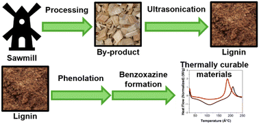 Graphical abstract: Preparation of thermally curable materials using lignin extracted from sawmill co-product