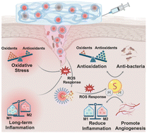 Graphical abstract: An injectable hydrogel dressing for controlled release of hydrogen sulfide pleiotropically mediates the wound microenvironment