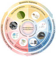 Graphical abstract: Biomaterials for flexible pressure sensors: innovations and advancements