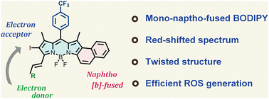Graphical abstract: Engineering asymmetric D–π–A BODIPYs as high-performance photosensitizers for photodynamic therapy