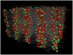 Graphical abstract: Molecular dynamics simulations of discotic ionic liquid crystals: comparison of a full-charge and a scaled-charge force field