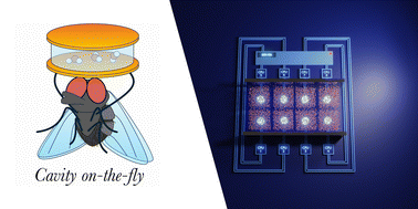 Graphical abstract: On-the-fly cavity–molecular dynamics of vibrational polaritons