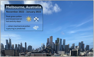 Graphical abstract: Hot and dry conditions elevate grass pollen and sub-pollen particle concentrations in Melbourne, Australia