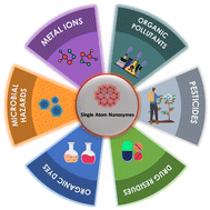 Graphical abstract: Environmental applications of single-atom nanozymes: recent developments and future directions