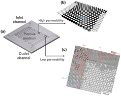 Graphical abstract: Pore-scale mechanisms of salt precipitation in heterogeneous media under geological carbon storage conditions