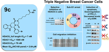 Graphical abstract: Development of potent and selective tetrahydro-β-carboline-based HDAC6 inhibitors with promising activity against triple-negative breast cancer
