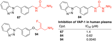 Graphical abstract: Novel glycine amides, semicarbazides and fluoroallylamines as inhibitors of the amine oxidase vascular adhesion protein-1 (VAP-1)