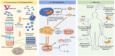 Graphical abstract: Nanoparticle-mediated metabolic reprogramming for immune modulation in inflammatory diseases