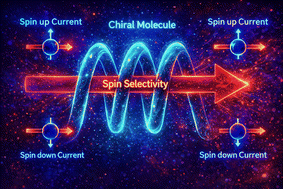 Graphical abstract: Spin–orbit coupling and beyond in chiral-induced spin selectivity