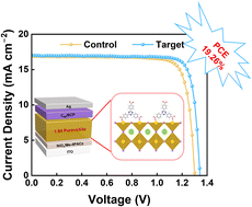 Graphical abstract: Advancing 1.84 eV wide-bandgap perovskite solar cells via multidentate molecular engineering