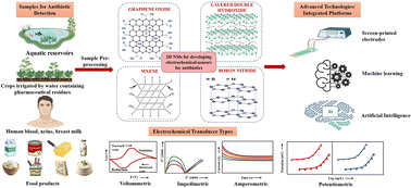 Graphical abstract: Advancements in two-dimensional nanomaterial-based sensing of antibiotics in environmental and biological samples