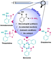 Graphical abstract: Accelerated click reactions using boronic acids for heterocyclic synthesis in microdroplets
