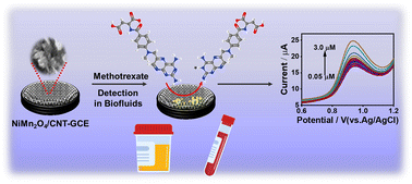 Graphical abstract: Ultrasensitive electrochemical detection of methotrexate in biological fluids using NiMn2O4/CNT nanocomposite-modified electrode