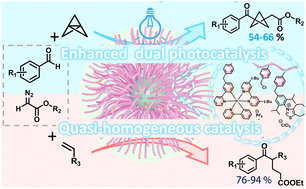 Graphical abstract: Polystyrene brush-supported dual Ir complex/N-heterocyclic carbene catalysts for efficient complex three-component dual-catalyzed photocatalysis